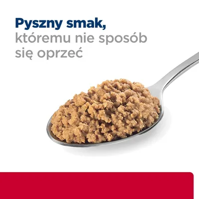 Pyszny smak, któremu nie sposób się oprzeć – widoczny tekst na obrazku z łyżką mokrej karmy dla zwierząt.