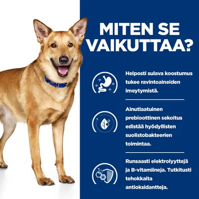 MITEN SE VAIKUTTAA? Helposti sulava koostumus tukee ravintoaineiden imeytymistä. Ainutlaatuinen prebioottinen sekoitus edistää hyödyllisten suolistobakteerien toimintaa. Runsaasti elektrolyyttejä ja B-vitamiineja. Tutkitusti tehokkaita antioksidantteja.