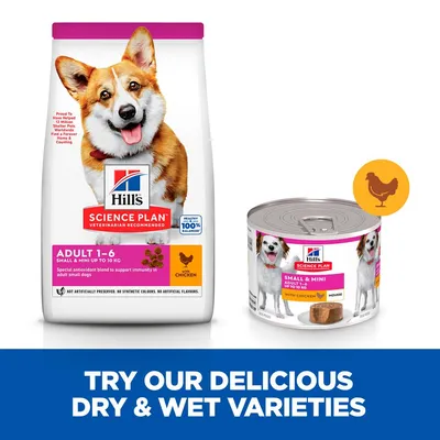 Dry and wet pet food for small and mini adults, chicken flavour, with text: Try our delicious dry and wet varieties. Suitable for pets up to 10 kg, antioxidant blend for immunity.