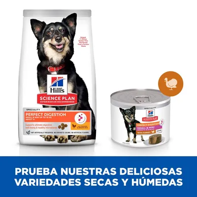 Hill's Science Plan Perfect Digestion para perros pequeños, saco de pienso y lata húmeda. Texto visible: 'Prueba nuestras deliciosas variedades secas y húmedas'.