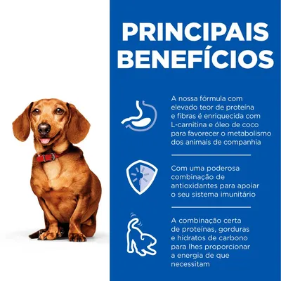 Texto: Principais Benefícios. Fórmula com elevado teor de proteína e fibras, enriquecida com L-carnitina e óleo de coco; antioxidantes para o sistema imunitário; energia equilibrada.