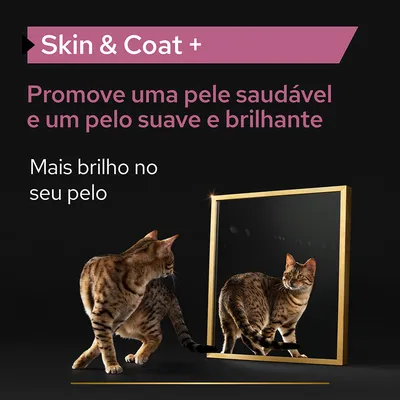Skin & Coat +. Promove uma pele saudável e um pelo suave e brilhante. Mais brilho no seu pelo. Imagem de gato a olhar para o espelho.
