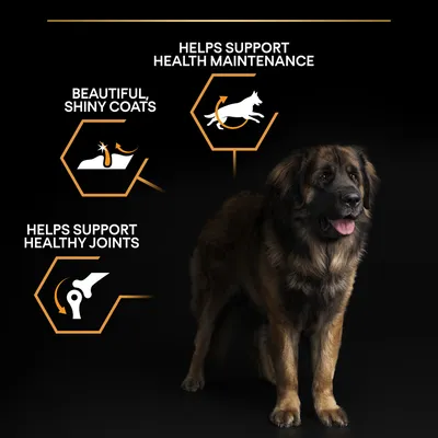 Teksti englanniksi: Helps support health maintenance, beautiful shiny coats, helps support healthy joints. Kuvassa myös koira ja kolme symbolia.