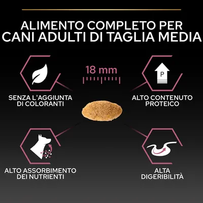 Alimento completo per cani adulti di taglia media, crocchetta 18 mm, senza l'aggiunta di coloranti, alto contenuto proteico, alto assorbimento dei nutrienti, alta digeribilità.
