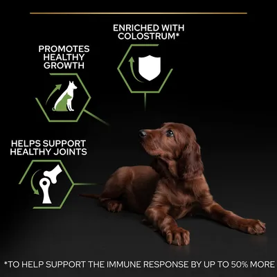 Promotes healthy growth, helps support healthy joints, enriched with colostrum to help support the immune response by up to 50% more. Image shows a puppy lying down.