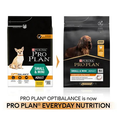 Purina Pro Plan Small & Mini Adult dog food packaging rebrand from OptiBalance to Everyday Nutrition. Visible text: High Protein, No.1 chicken, 1+, supports everyday health maintenance.