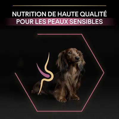 Texte : Nutrition de haute qualité pour les peaux sensibles. Chien à poil long assis, illustration stylisée sur le pelage, fond noir.