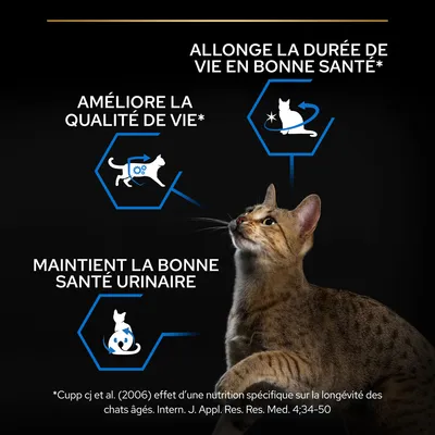 Allonge la durée de vie en bonne santé, améliore la qualité de vie*, maintient la bonne santé urinaire. *Cupp cj et al. (2006) effet d’une nutrition spécifique sur la longévité des chats âgés.