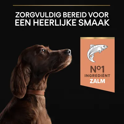 Zorgvuldig bereid voor een heerlijke smaak. Nº1 ingrediënt zalm.