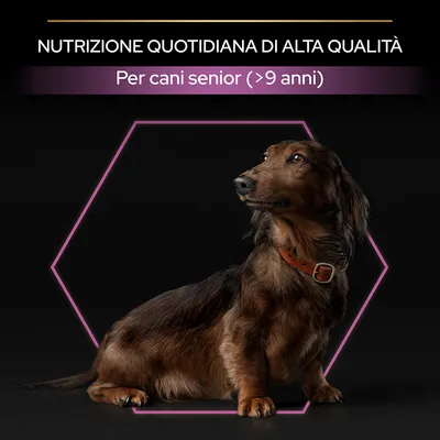 Nutrizione quotidiana di alta qualità. Per cani senior (>9 anni).