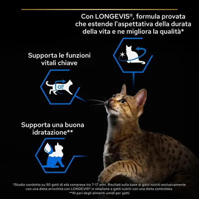 Con LONGEVIS, formula provata che estende l'aspettativa della durata della vita e ne migliora la qualità. Supporta le funzioni vitali chiave e una buona idratazione. Immagine di un gatto.