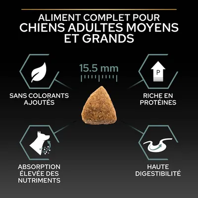 Aliment complet pour chiens adultes moyens et grands, croquette 15,5 mm, sans colorants ajoutés, riche en protéines, absorption élevée des nutriments, haute digestibilité.