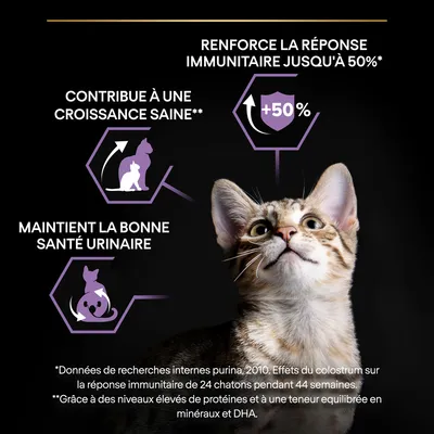 Renforce la réponse immunitaire jusqu'à 50 %, contribue à une croissance saine, maintient la bonne santé urinaire. Données de recherches internes Purina, 2010.