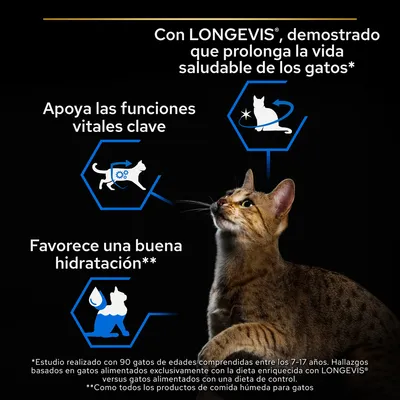 Con LONGEVIS, demostrado que prolonga la vida saludable de los gatos. Apoya las funciones vitales clave. Favorece una buena hidratación. Texto explicativo sobre estudio y condiciones.