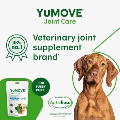 YuMOVE Joint Care veterinary joint supplement brand, UK’s no.1, for fussy pups, powered by ActivEase green lipped mussel, pack of daily bites for senior dogs shown.