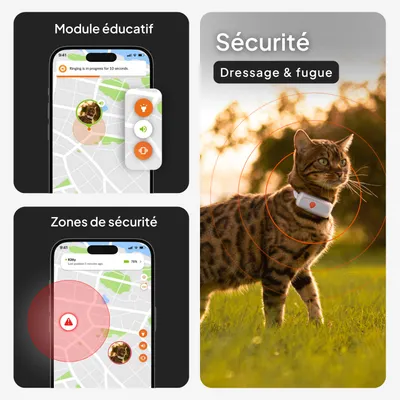 Module de sécurité pour traceur pour chat : fonction d’éducation, zones de sécurité et alerte de fuite affichées sur le smartphone. Module de sécurité pour traceur pour chat : fonction d’éducation, zones de sécurité et alerte de fuite affichées sur le smartphone.