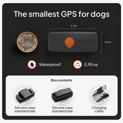 Weenect Pet XS GPS nyomkövető kutyáknak