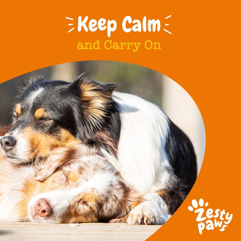 Zesty Paws Calming Chews kalkun