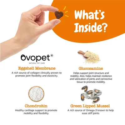 Ovopet Natural Pet Care. Eggshell Membrane, Glucosamine, Chondroitin, Green Lipped Mussel – hlavné zložky uvedené na obrázku s ilustračnými fotografiami a textom v angličtine.