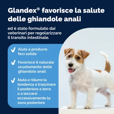 Glandex Snack masticabili per ghiandole anali Glandex Snack masticabili per ghiandole anali