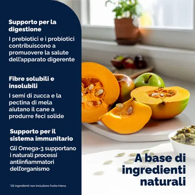 Glandex Snack masticabili per ghiandole anali Glandex Snack masticabili per ghiandole anali