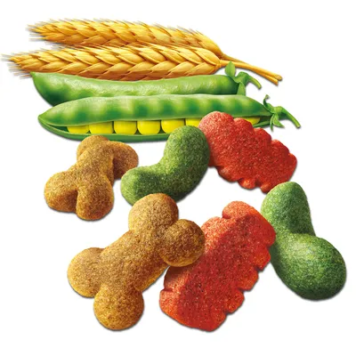 Croquettes multicolores en forme d’os et de légumes, avec épis de blé et gousses de pois visibles à l’arrière-plan. Ingrédients visibles : céréales, pois.