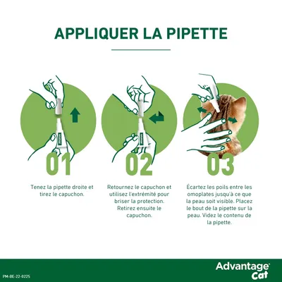 Advantage® 40 pour chat et lapin < 4 kg