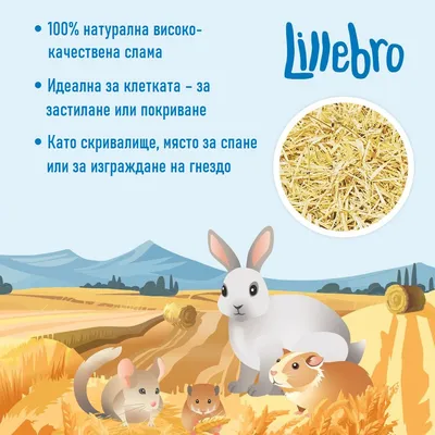 Lillebro. 100% натурална висококачествена слама. Идеална за клетката – за застилане или покриване. Като скривалище, място за спане или за изграждане на гнездо.