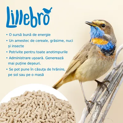 Lillebro. O sursă bună de energie. Amestec de cereale, grăsime, nuci și insecte. Potrivite pentru toate anotimpurile. Administrare ușoară, mai puține deșeuri. Se pot pune în căsuță, pe sol sau masă.
