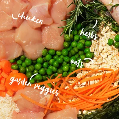 Image showing labelled ingredients: chicken, herbs, oats, garden veggies and peas. Highlights key components used in the product.