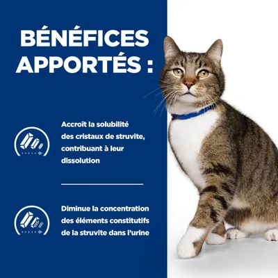 BÉNÉFICES APPORTÉS : Accroît la solubilité des cristaux de struvite, contribuant à leur dissolution. Diminue la concentration des éléments constitutifs de la struvite dans l’urine.