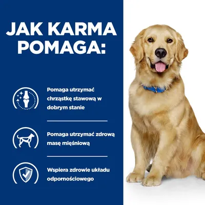 Jak karma pomaga: pomaga utrzymać chrząstkę stawową w dobrym stanie, zdrową masę mięśniową oraz wspiera zdrowie układu odpornościowego. Obok siedzi pies.