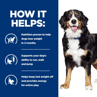 Tekst na engleskom: Nutrition proven to help dogs lose weight in 2 months. Supports your dog's ability to run, walk and jump. Helps keep lost weight off and provides energy for active play.