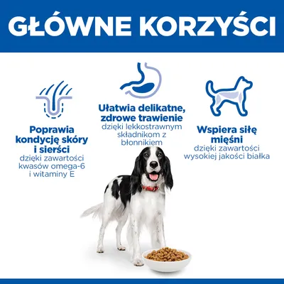 Hill's Science Plan Adult 1–6 Medium, z kurczakiem