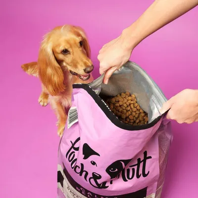 Person opening a large bag of dry pet food with kibble visible inside, while a dog stands nearby looking at the open bag.
