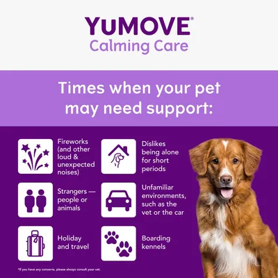 YuMOVE Calming Care. Times when your pet may need support: fireworks, dislikes being alone, strangers, unfamiliar environments, holiday and travel, boarding kennels.
