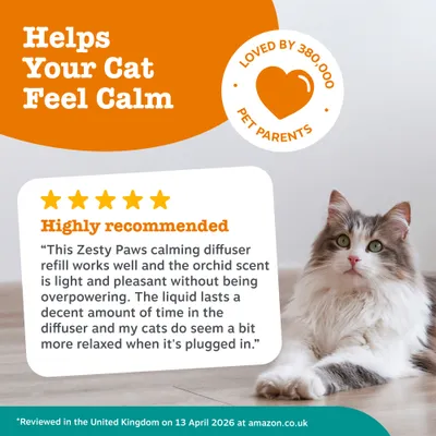 Zesty Paws Cat Calming Diffuser Refill Orchid Mist - 75g Zesty Paws Cat Calming Diffuser Refill Orchid Mist - 75g