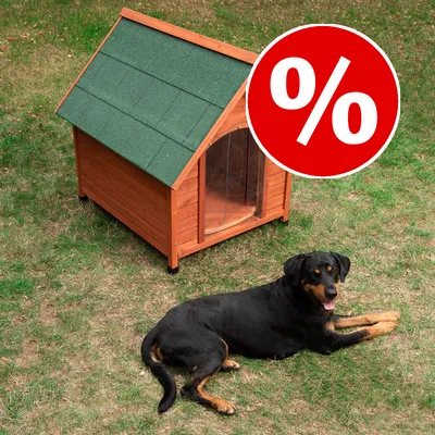 Caseta de madera para perro con tejado verde, situada en césped. Perro grande tumbado delante. Símbolo de porcentaje en círculo rojo indica oferta o descuento visible.