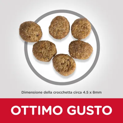 Crocchette, dimensione circa 4,5 x 8 mm. Testo visibile: OTTIMO GUSTO.
