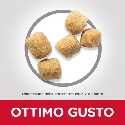 Cinque crocchette, dimensione circa 7 × 7,8 mm. Testo visibile: OTTIMO GUSTO.