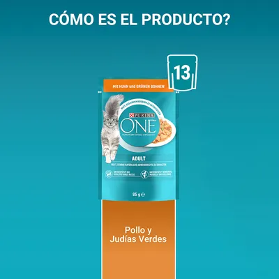 Sobre de Purina ONE Adult para gatos, 85 g, con texto visible: Pollo y Judías Verdes. Indica pack de 13 unidades. Imagen de un gato y comida en el envase.