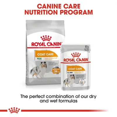 Royal Canin Coat Care dry and wet food shown with text: 'Canine Care Nutrition Program' and 'The perfect combination of our dry and wet formulas'.