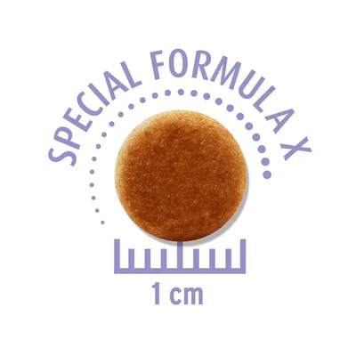 Pyöreä nappula, jossa teksti 'Special Formula X' ja koko 1 cm.