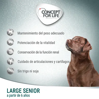 Concept for Life Large Senior a partir de 6 años. Mantenimiento del peso, vitalidad, función renal, cuidado articular, sin trigo ni soja. Imagen de perro grande marrón.
