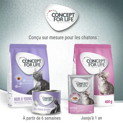 Gamme Concept for Life pour chatons : croquettes 400 g, sachet 85 g, boîte 200 g. Texte visible : conçu sur mesure pour les chatons, à partir de 6 semaines, jusqu'à 1 an.