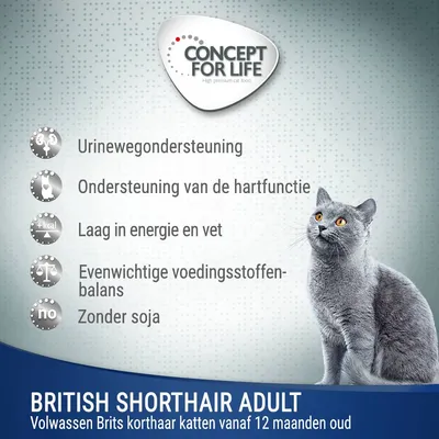 Concept for Life British Shorthair Adult, voordelen: urinewegondersteuning, ondersteuning hartfunctie, laag in energie en vet, evenwichtige voedingsstoffenbalans, zonder soja. Voor katten vanaf 12 maanden.