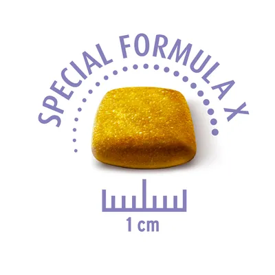 Croquette carrée jaune, texte visible : SPECIAL FORMULA X, règle indiquant 1 cm sous la croquette.