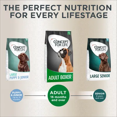 Concept for Life food range for large breeds: Puppy & Junior up to 15 months, Adult Boxer from 15 months, Large Senior from 6 years. Shows recommended product by life stage.