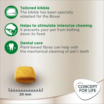 Kibble adapted for Boxer, stimulates intensive chewing to prevent bolting food, plant-based fibres aid dental care. Kibble size shown as 20 mm. Concept for Life brand.