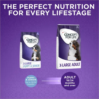 Concept for Life X-Large Adult Concept for Life X-Large Adult